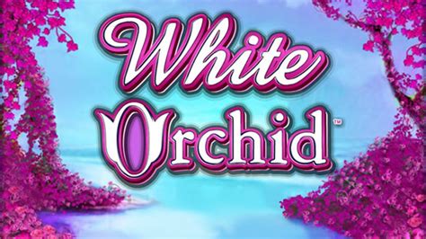 white orchid slot review